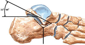 Анатомия связок и суставной поверхности голеностопного сустава в норме, травмы голеностопного сустава